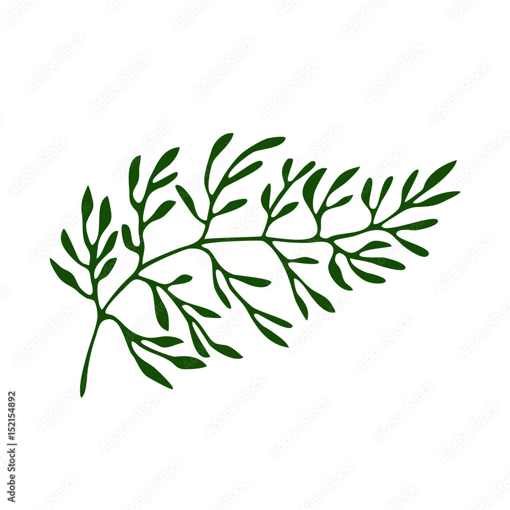 Vector summer palm leaf Vector summer palm leaf
