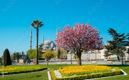 Blue mosque with green park, Istanbul, Turkey. Architectural monument. Center of Islam. Cami. Mescit.  photo