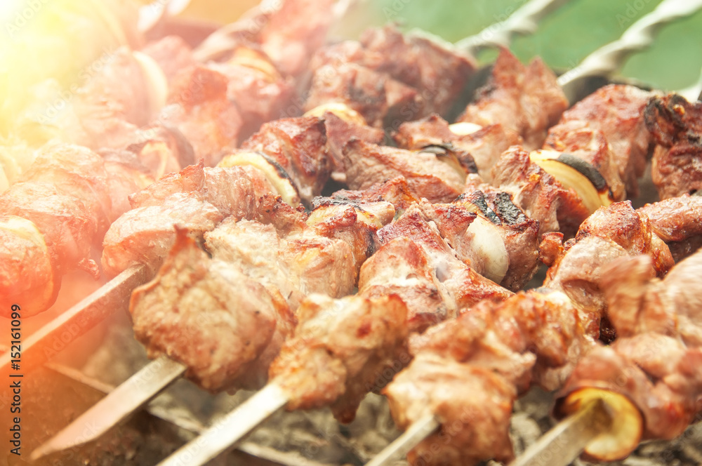 Pieces of meat on skewers roasted on the coals close-up. The horizontal frame.
