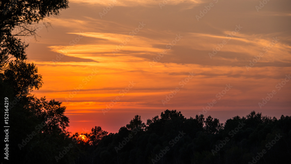 Sunset against the background of deciduous forest