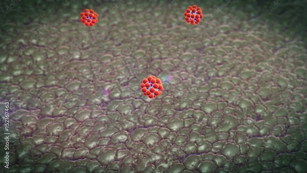 Vidéo Stock antibodies and Macrophages,field of fat cells, High quality