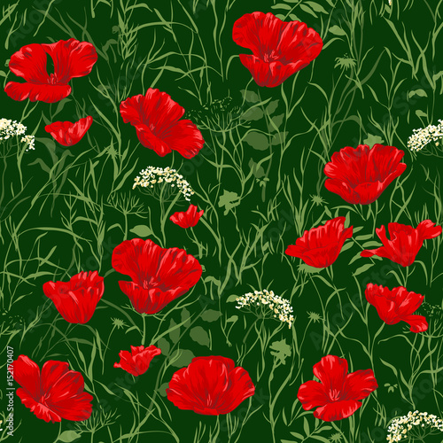 Seamless red poppy background pattern
