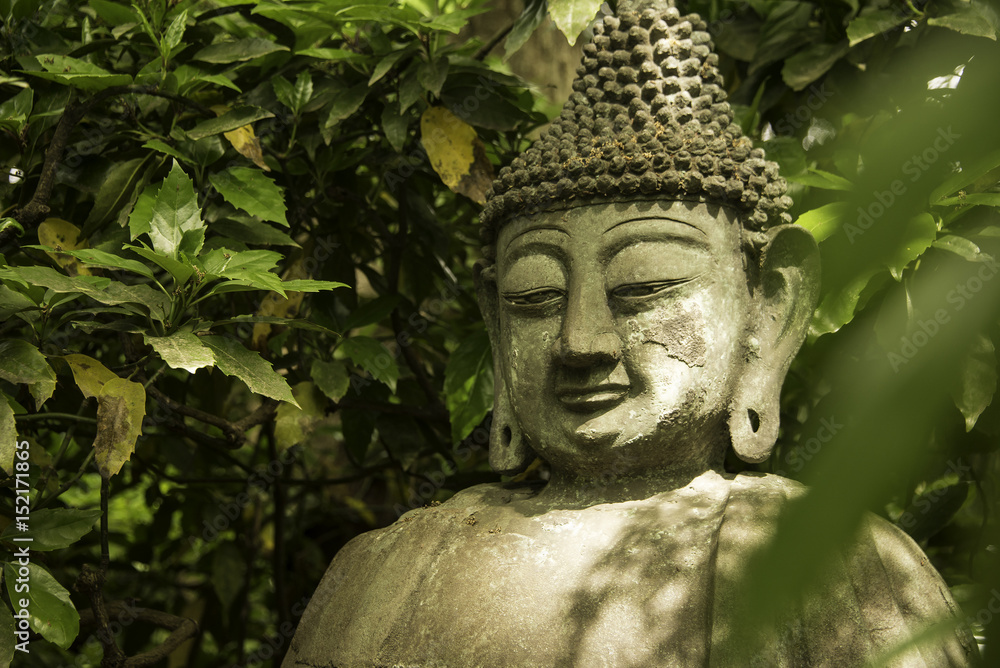 Buddha's statue with light on face amidst trees in a zen garden