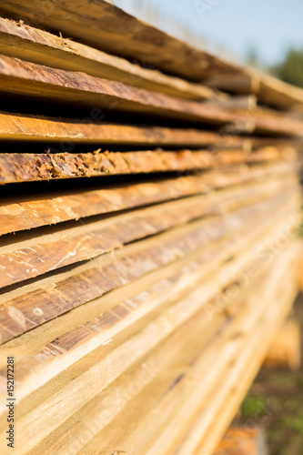 the series stack of fresh boards, building materials, wood, pine, larch, pine, sawmill, nature photo
