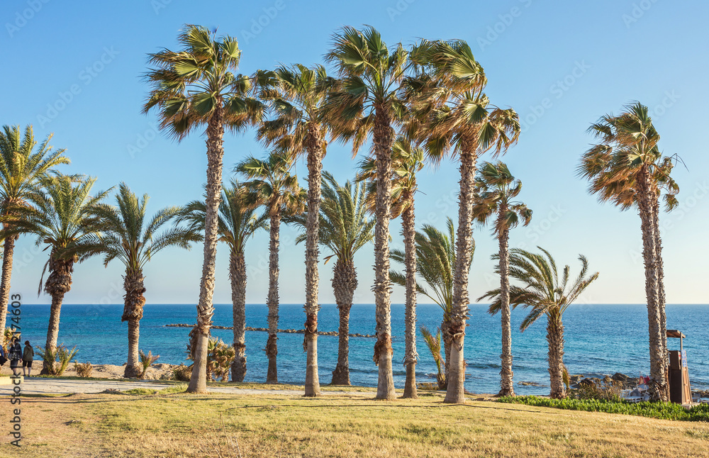 sunny day in the resort of Paphos, Cyprus