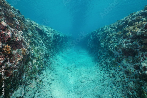 Natural trench underwater carved into the ocean floor on the outer reef of Huahine island, Pacific ocean, French Polynesia