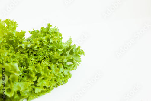 Green kinky salad isolated on white background. Daylight, open space for your text.