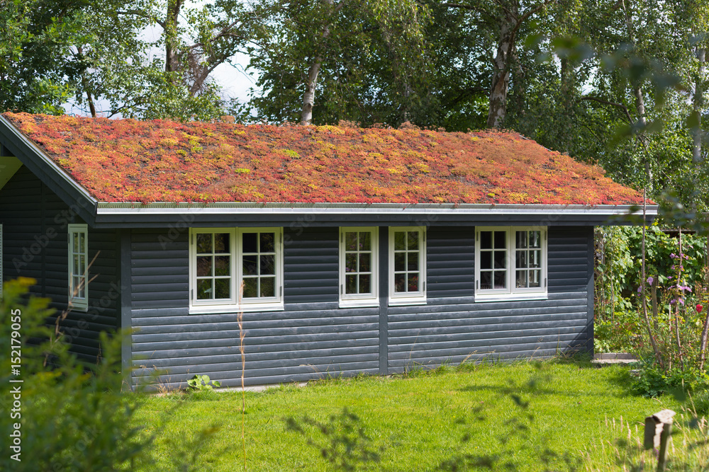 environmental friendly roof