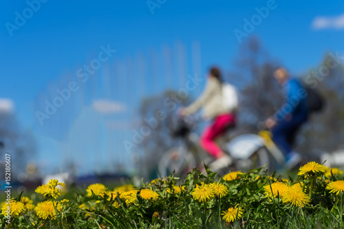 Blur unrecognizable youth, ride bikes. Spring season, green grass meadow, yellow young dandelions, copy space. Abstract background of people activities in park, bokeh