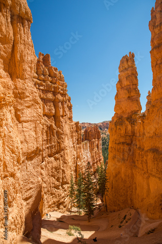 Bryce Canyon National Park in Utah, United States.