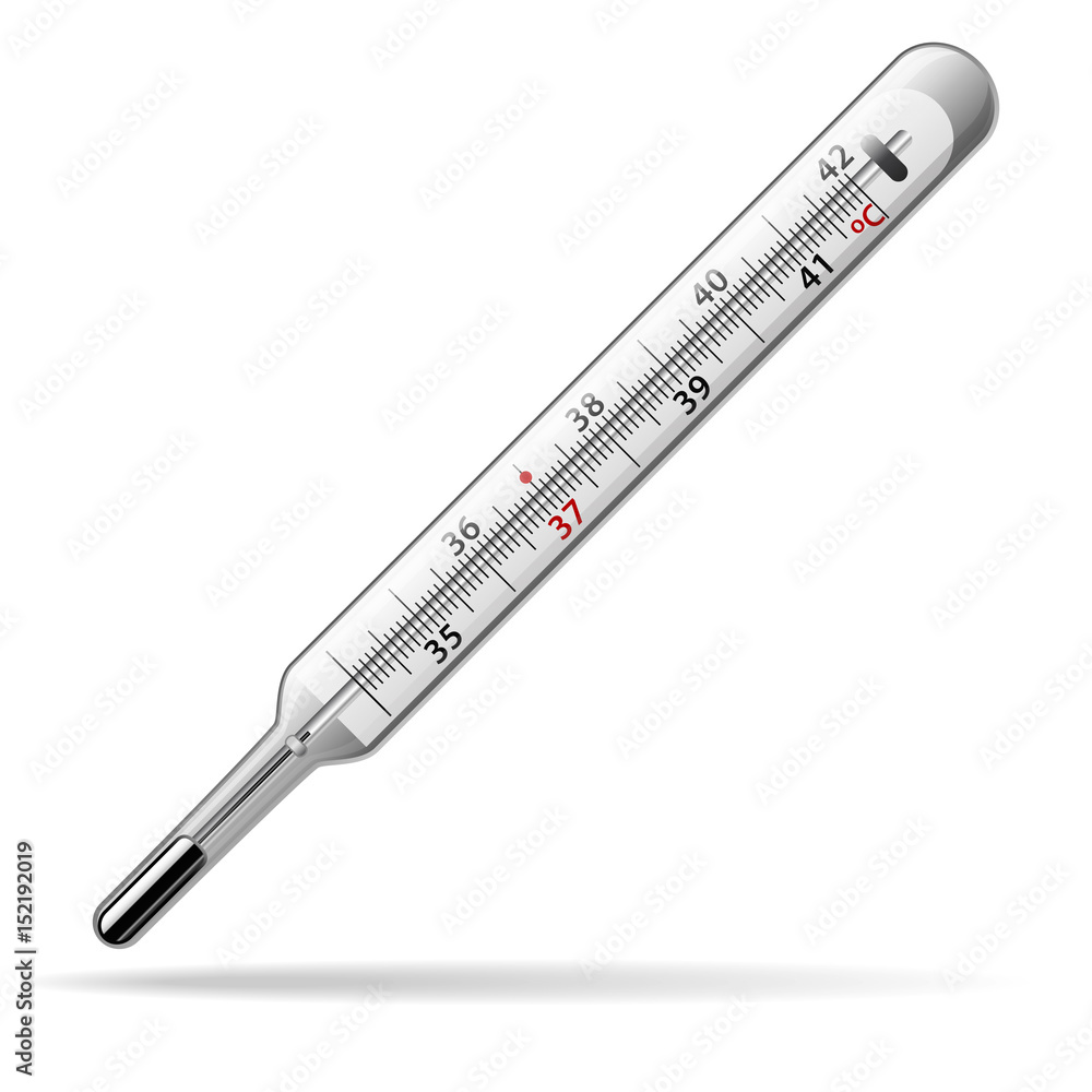Thermometer medical. A glass mercury thermometer for measuring the  temperature of the human body. Vector Stock Vector | Adobe Stock