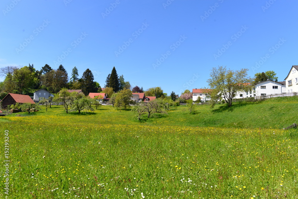 Obraz premium Donaustauf im Landkreis Regensburg Bayern