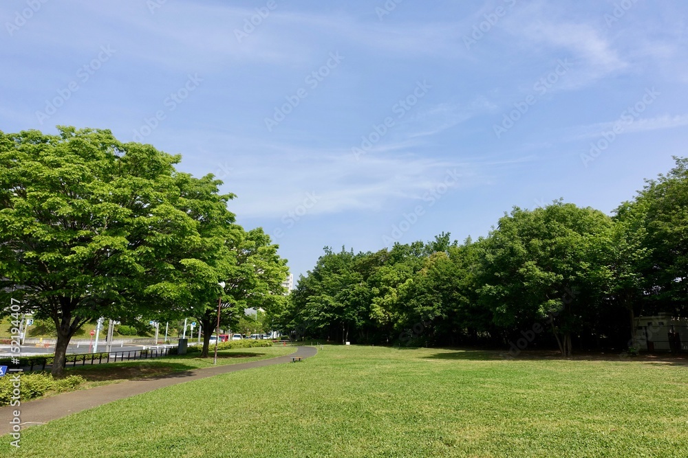 多摩の新緑 多摩の新緑
