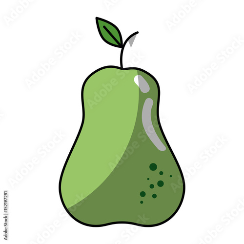 pear fruit icon over white background. vector illustration