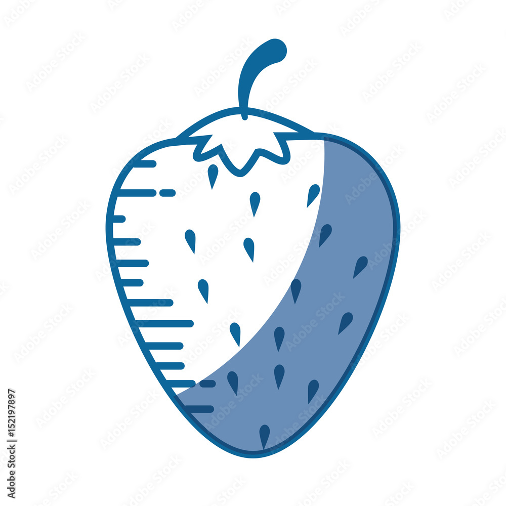 Fototapeta premium strawberry fruit icon over white background. vector illustration