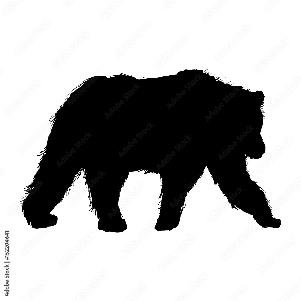 Fototapeta premium animal wild bear, natural fauna pictogram. vector illustration.
