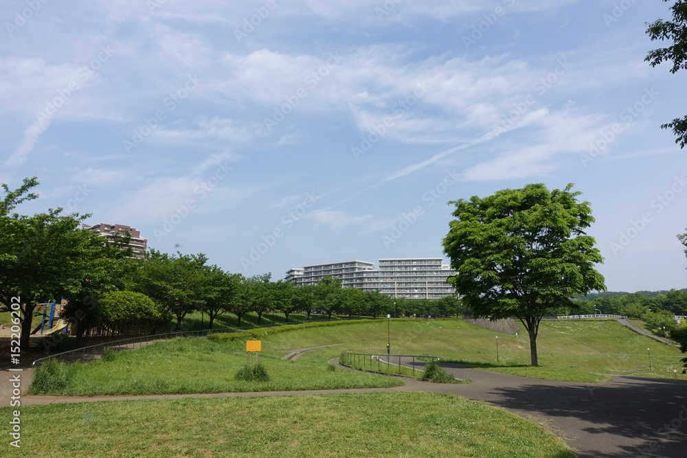 Naklejka premium 多摩の初夏 