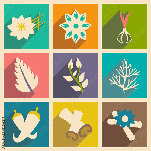 Flat with shadow concept and mobile application spices