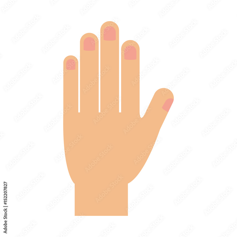 human hand icon over white background. vector illustration human hand icon over white background. vector illustration