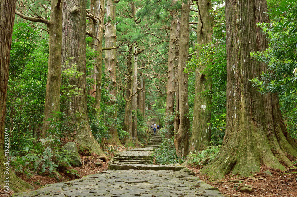 Fototapeta premium Światowe dziedzictwo Kumano Kodo