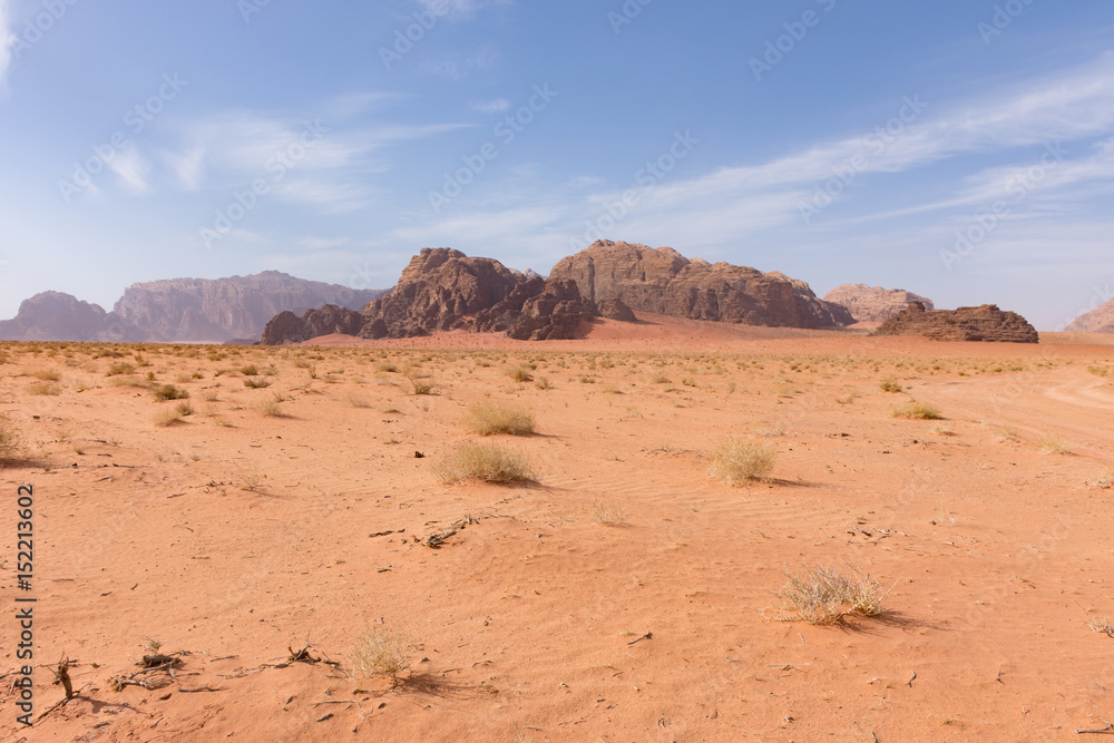 Great expansive of the Wadi Rum Desert with orange sand and rocky mountains in the distance. Blue sky with thin clouds is above. Foreground shows sparse vegetation.