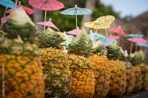 Piña Coladas by the dozen