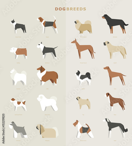 dog breed vector illustration flat design set