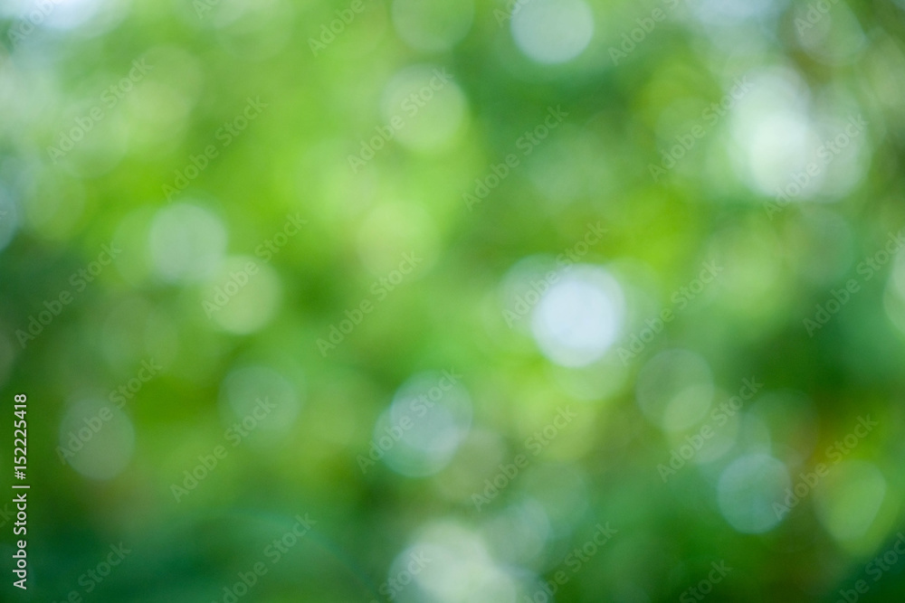 Nature abstract bokeh background