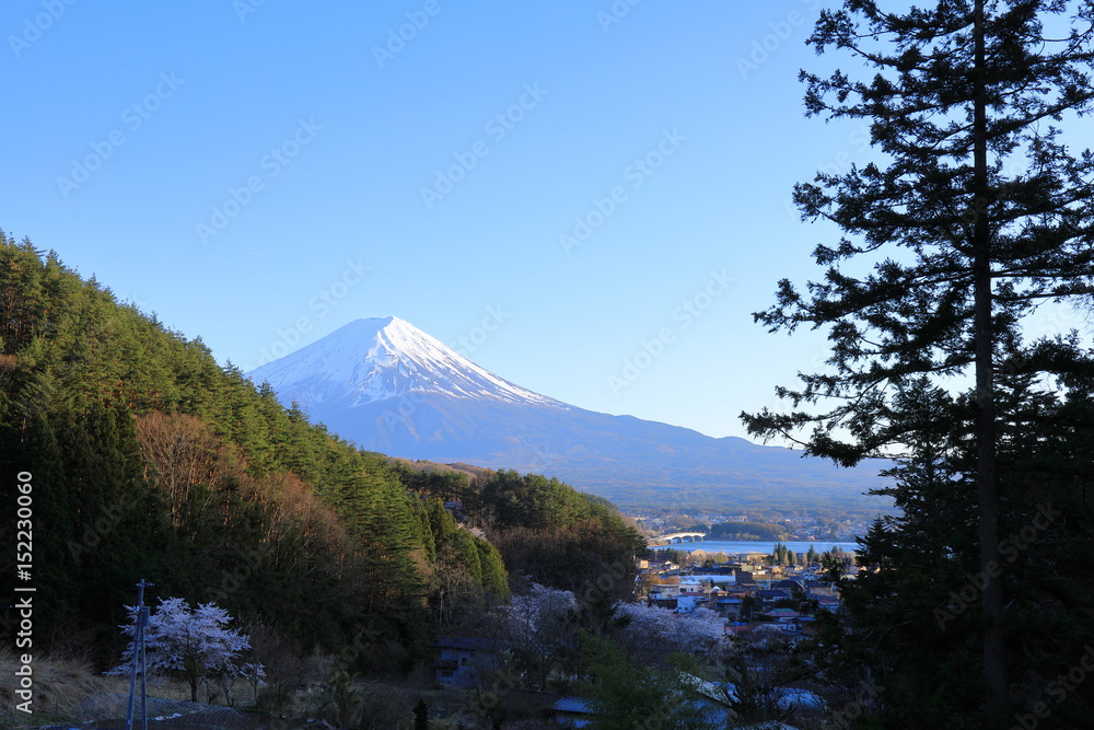 Fuji Mountain
