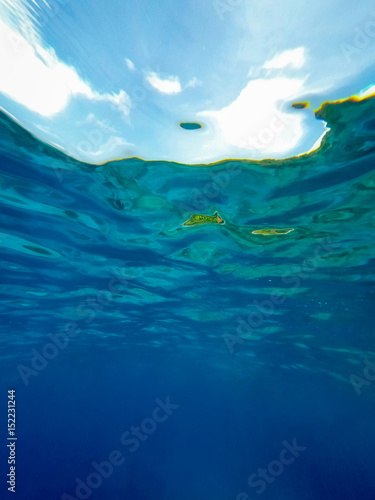 Abstract underwater background