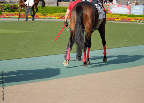 競馬場　パドック photo