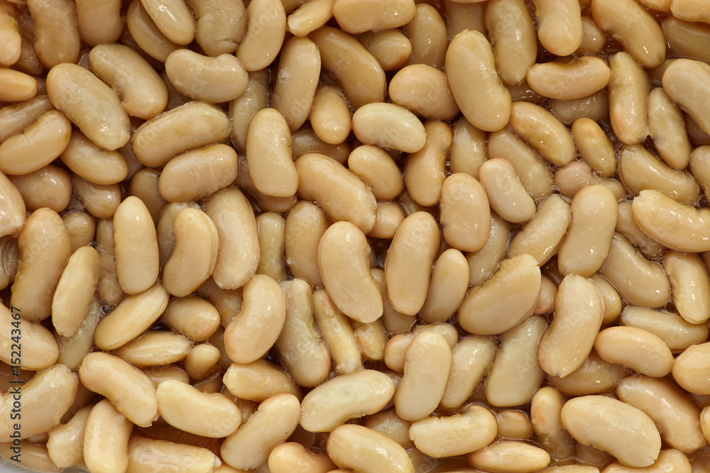 Kidney beans. Close up textured white baked haricot beans Kidney beans. Close up textured white baked haricot beans