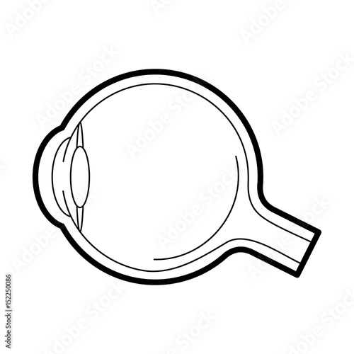 Eyeball anatomy icon, medical side view line art pictogram, image for ophthalmology patient education materials, eye doctor poster, optical salon, eye health concept. Flat style vector illustration