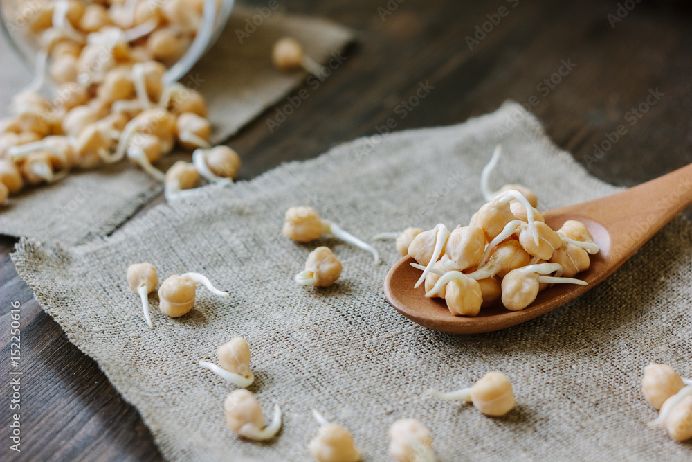 Chickpea sprouts on a wooden spoon over fabric material. Chickpea sprouts on a wooden spoon over fabric material.