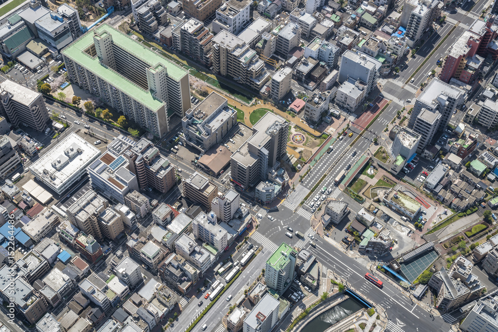Tokyo urban area with streets and buildings, aerial view, Japan