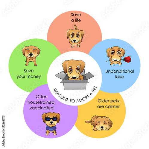 Reasons to adopt a pet vector infographics