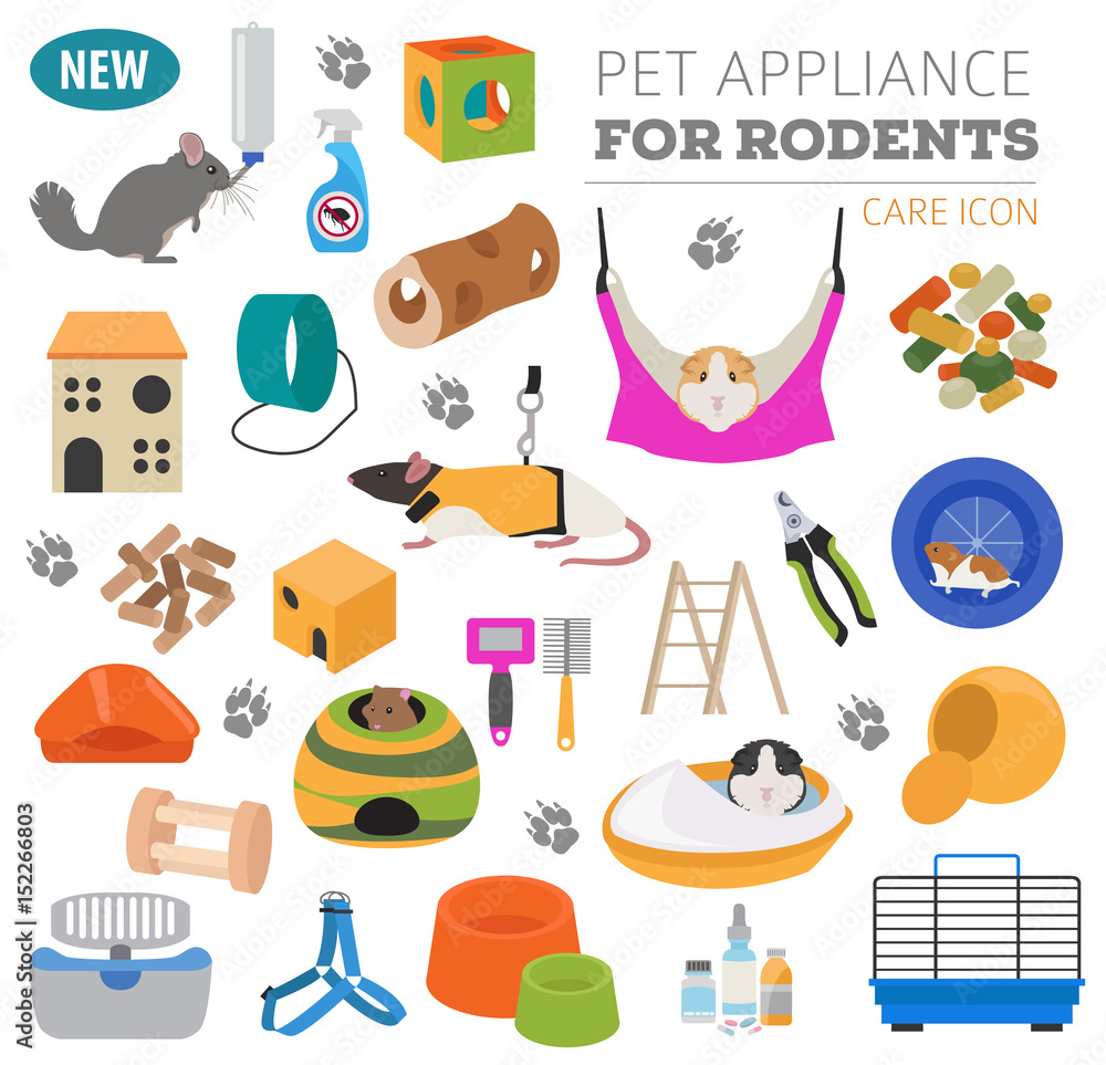 Pet appliance icon set flat style isolated on white. Rodents care collection. Create own infographic about guinea pig, rat, hamster, chinchilla, mouse, rabbit