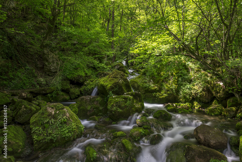 River in the mountains of Bulgaria River in the mountains of Bulgaria