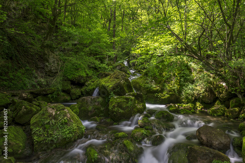 Fototapeta Naklejka Na Ścianę i Meble -  River in the mountains of Bulgaria