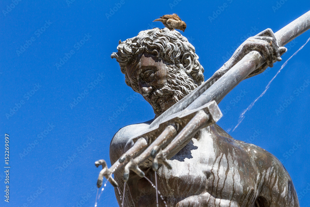 Fototapeta premium Neptun & Sparrow