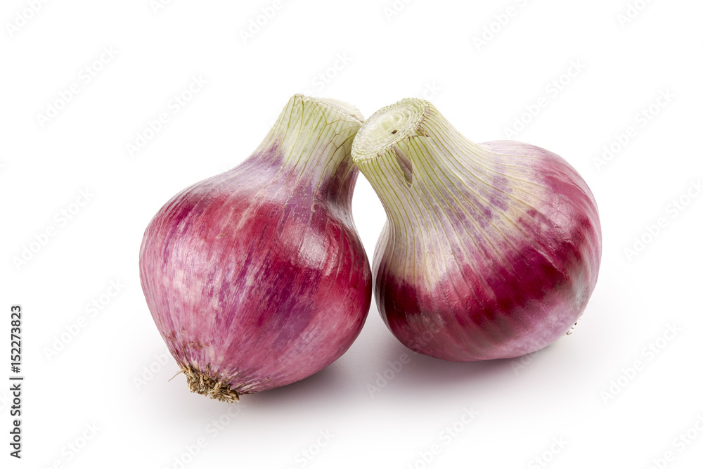 Fototapeta premium 赤玉ねぎ (影イキ、背景白飛ばし)