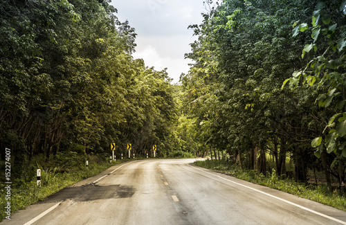 Road, tree, side, way
