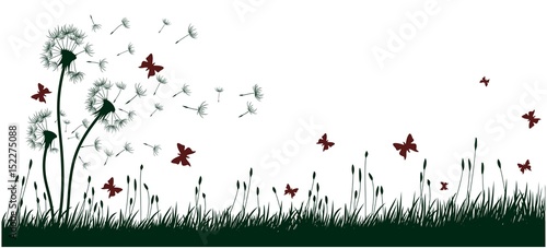 Dandelions with butterflies.