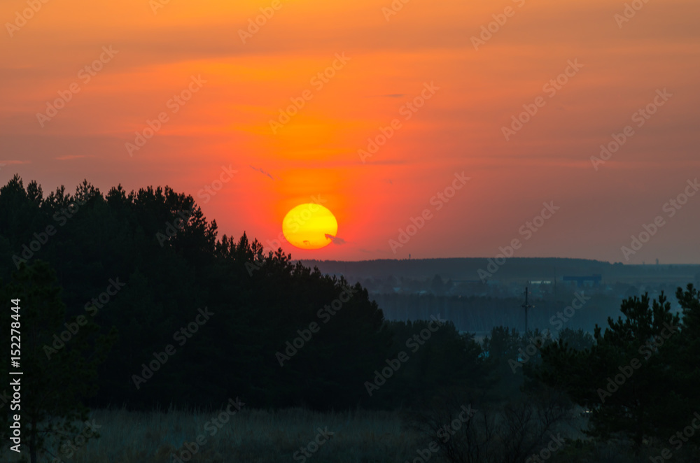 Obraz premium Sunset over the forest