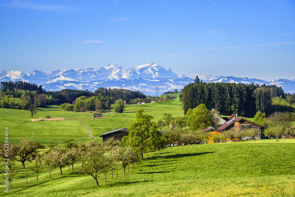 Obraz premium idyllische Frühlingslandschaft bei Lindau