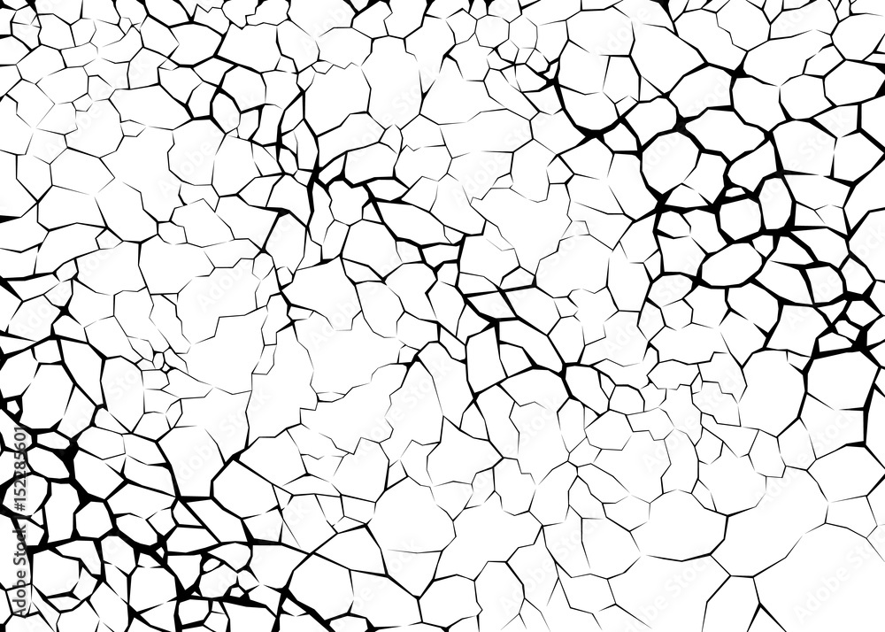 Earth cracks or neurons on white background. Texture design in grunge style.
