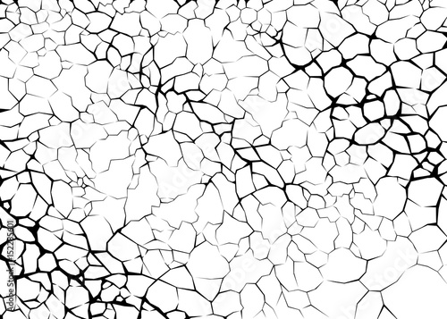 Earth cracks or neurons on white background. Texture design in grunge style. 