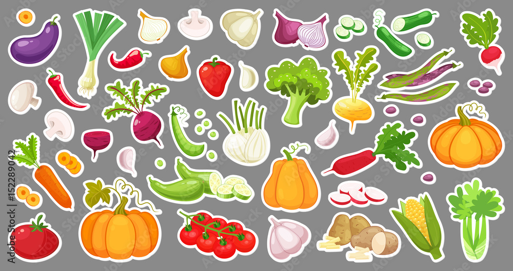Fototapeta Big set of colorful vegetables. Isolated stickers of vegetables. Natural fresh organic vegetables.Cartoon style vector illustration.
