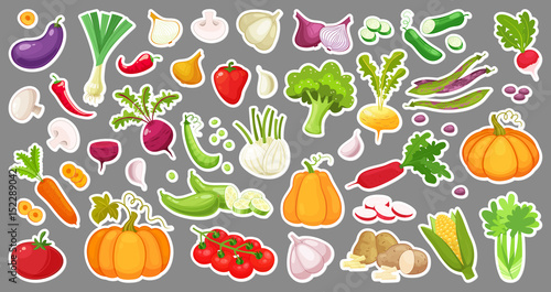 Fototapeta Big set of colorful vegetables. Isolated stickers of vegetables. Natural fresh organic vegetables.Cartoon style vector illustration.