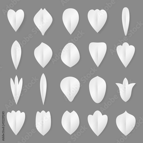 Fototapeta Naklejka Na Ścianę i Meble -  Vector paper flowers petal and leaves set. 3d origami abstract flower icons illustration